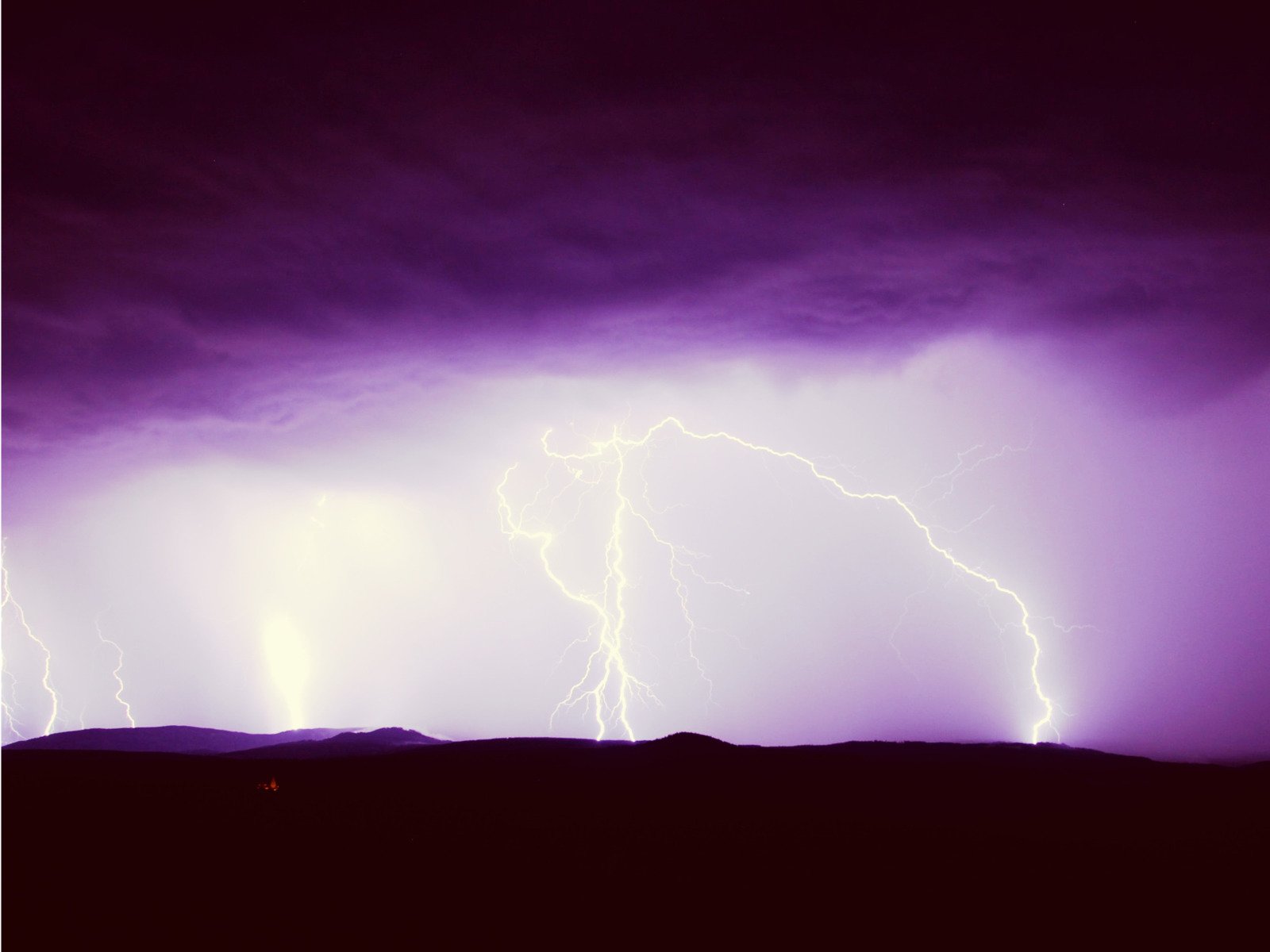 Watch Sound therapy for dogs Prime Video