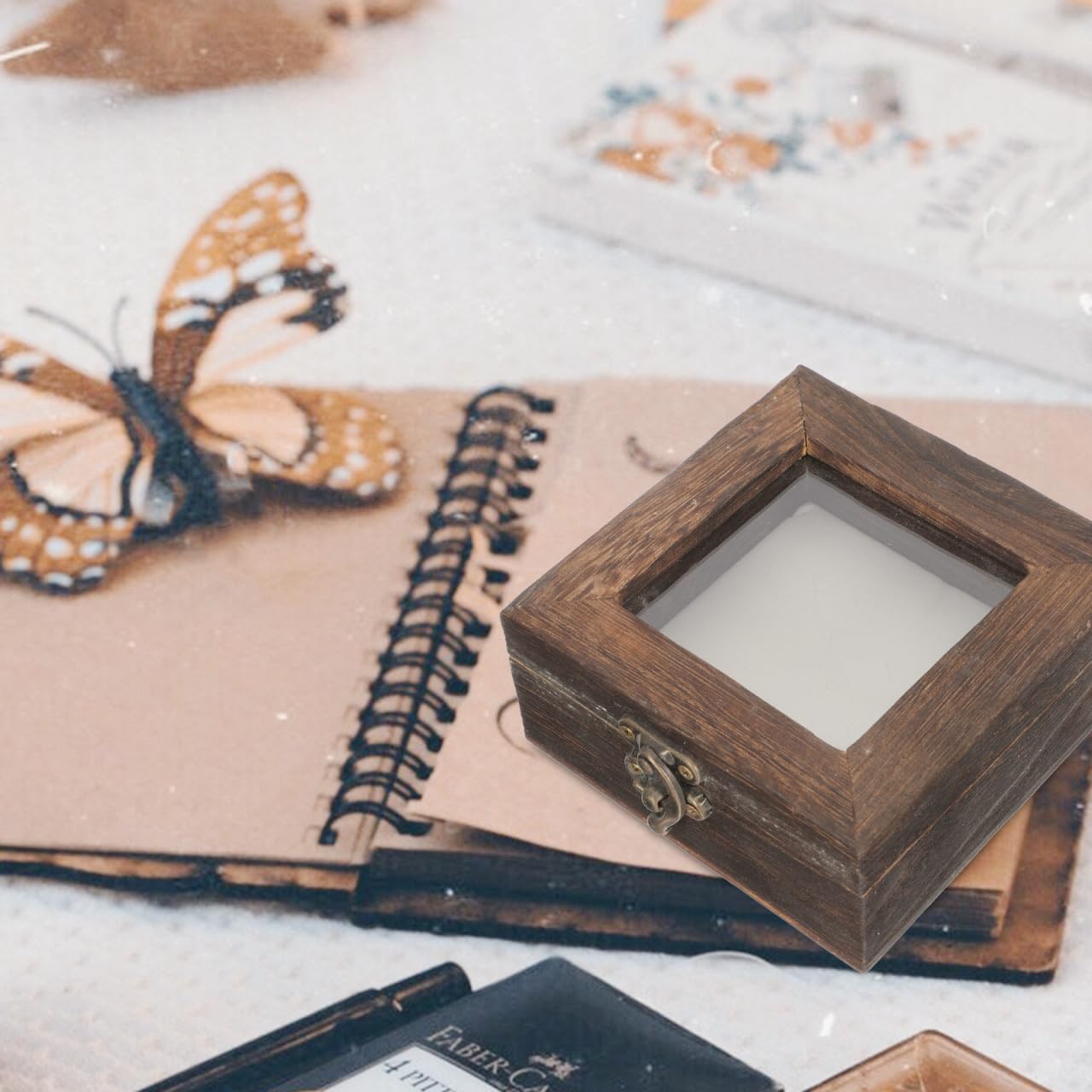 Alipis Vitrine Boîte à Spécimens Miniature Pour Insectes Et