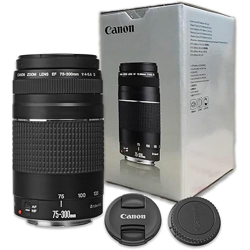 Canon Ef 75-300mm F/4-5.6 III Telephoto Zoom Lens for Canon SLR Cameras