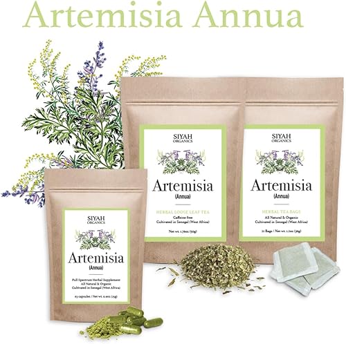 Miniatura 2 de Organics Artemisia Annua Cápsulas de ajenjo dulce  Antioxidante, cápsulas herbales  Todo natural, orgánico y vegano  Suplemento herbario de espectro