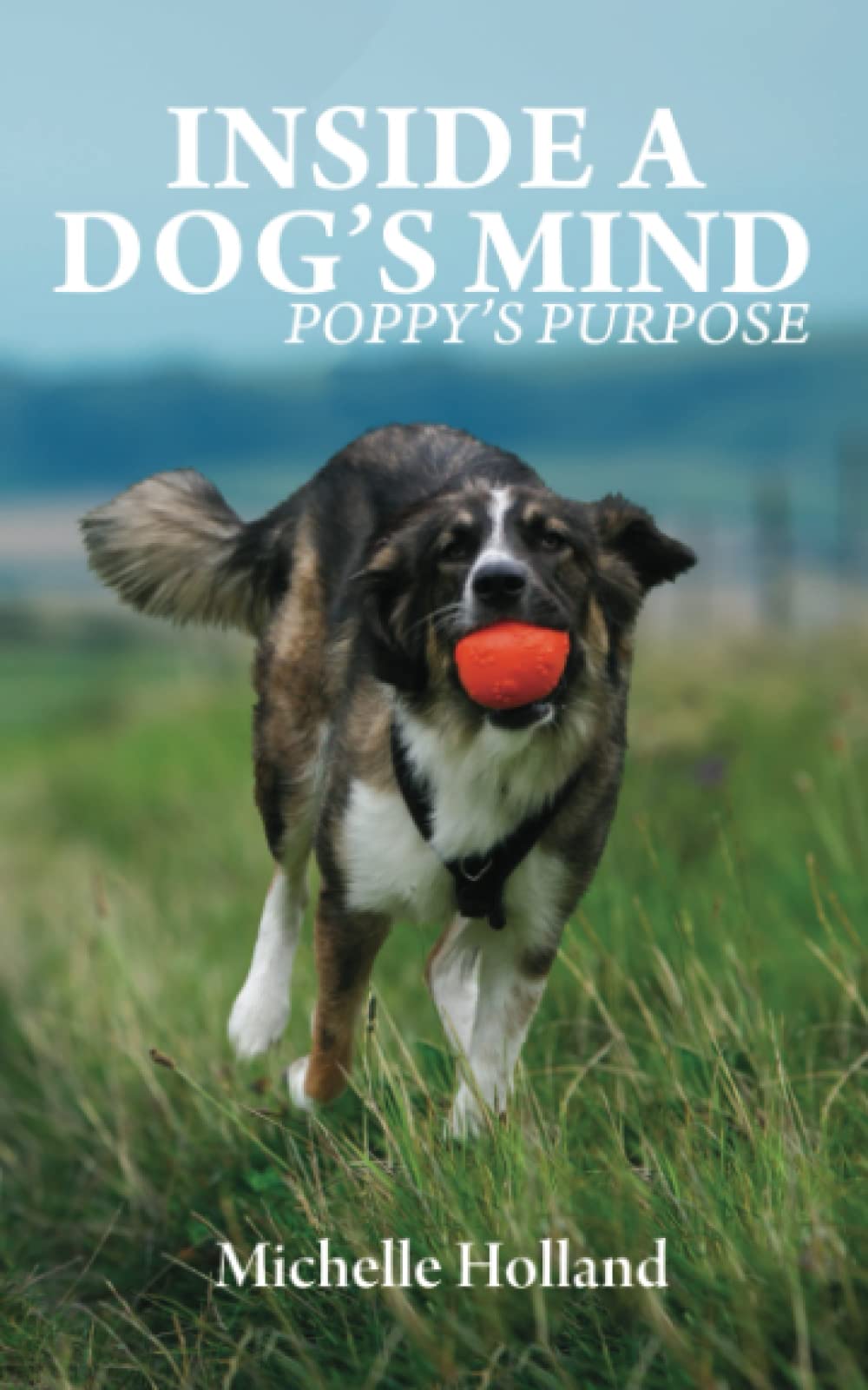 Inside A Dog's Mind: Poppy's Purpose