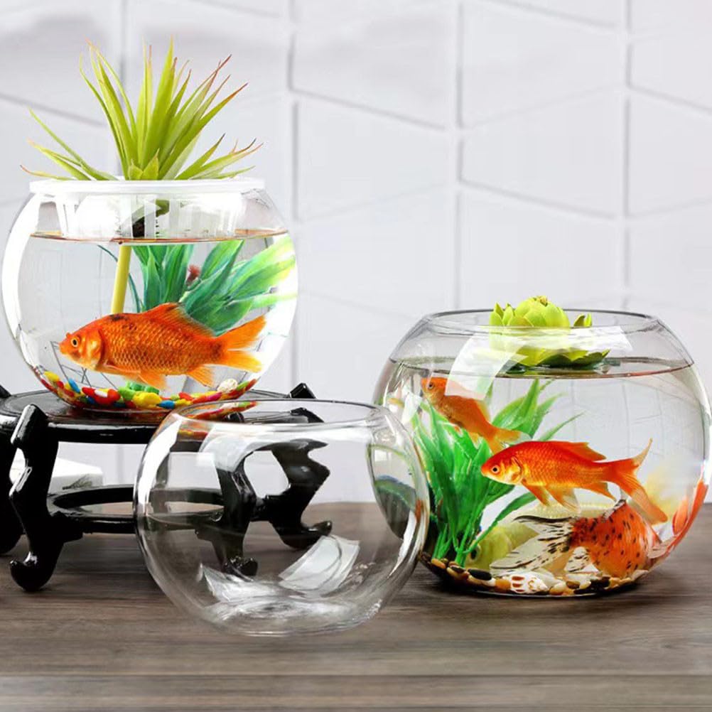 SEWACC Klares Glas-goldfischglas - Rundes, Transparentes Tisch-Aquarium mit Blumentopf - Dekoratives Aquarium für Zuhause Oder Büro