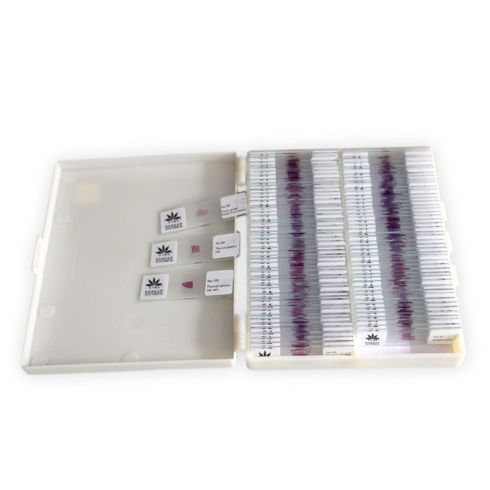 KINOFU 100 Pieces Human Pathology Prepared Slides ?Microscope Prepared Typical Histology Slides, Stained Structural Histology Slides For Medical Study Education Teaching Learning Tool