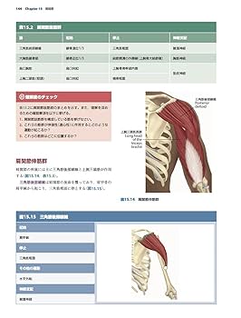 アナトミカル キネシオロジー(Anatomical Kinesiology) | 相澤