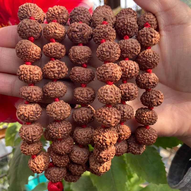 Natürliche AAA Große 8 Mukhi Rudraksha Mala, 108 Mala Perlen, 8 Mukhi Rudraksha Halskette, Gebet Mala, Meditation Mala, Japa Mala