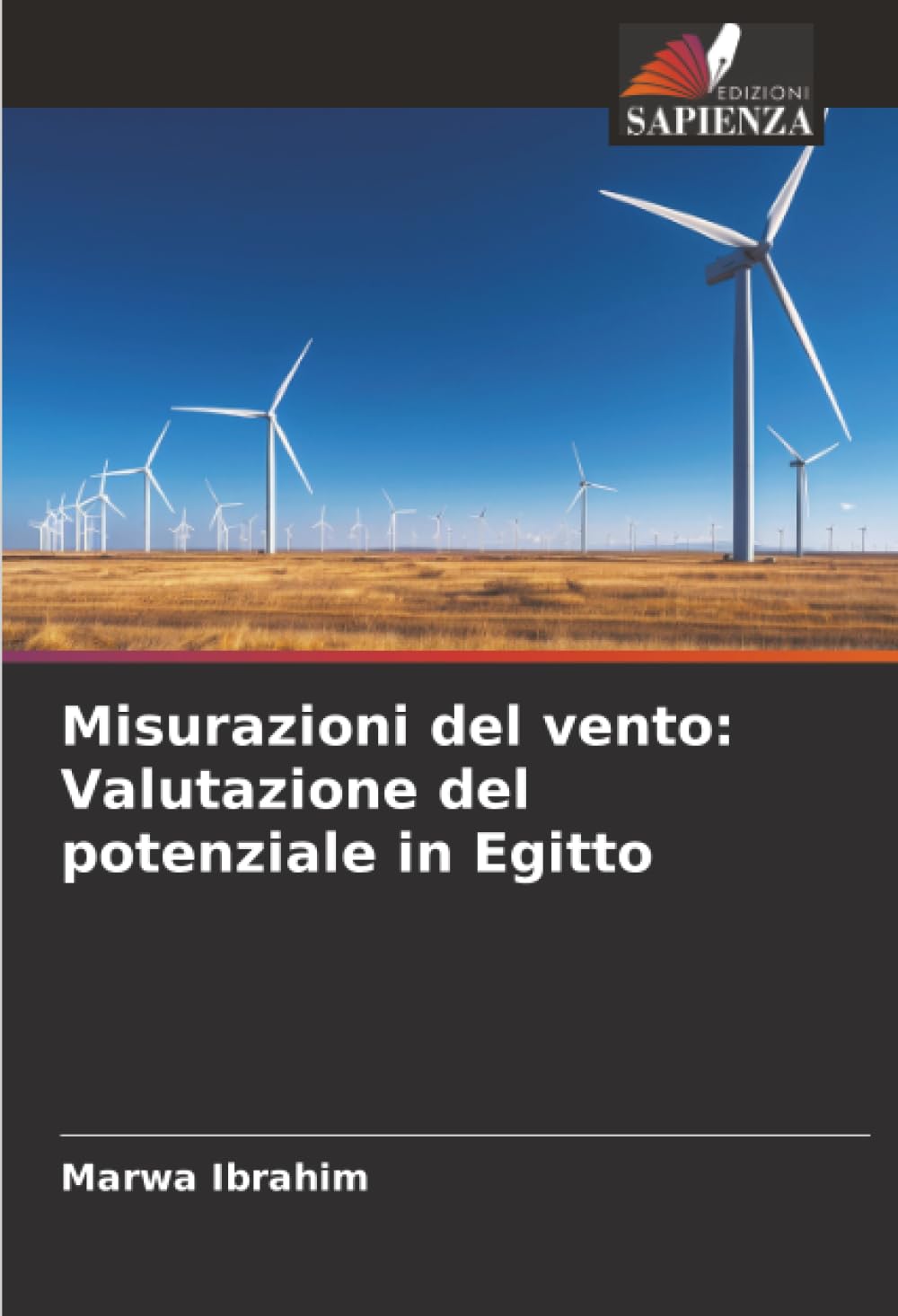 Misurazioni del vento: Valutazione del potenziale in Egitto