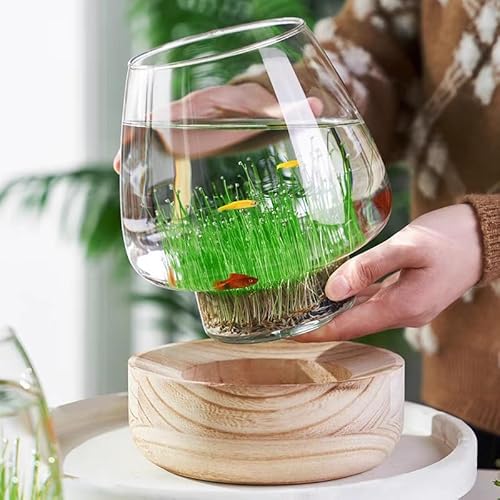 Kenvana KXkA ؐT|[gtKXԕr fXNgbv RIȉƂ̑ArO[AoX[AfBi[p̐ԊwIȐ(XL)