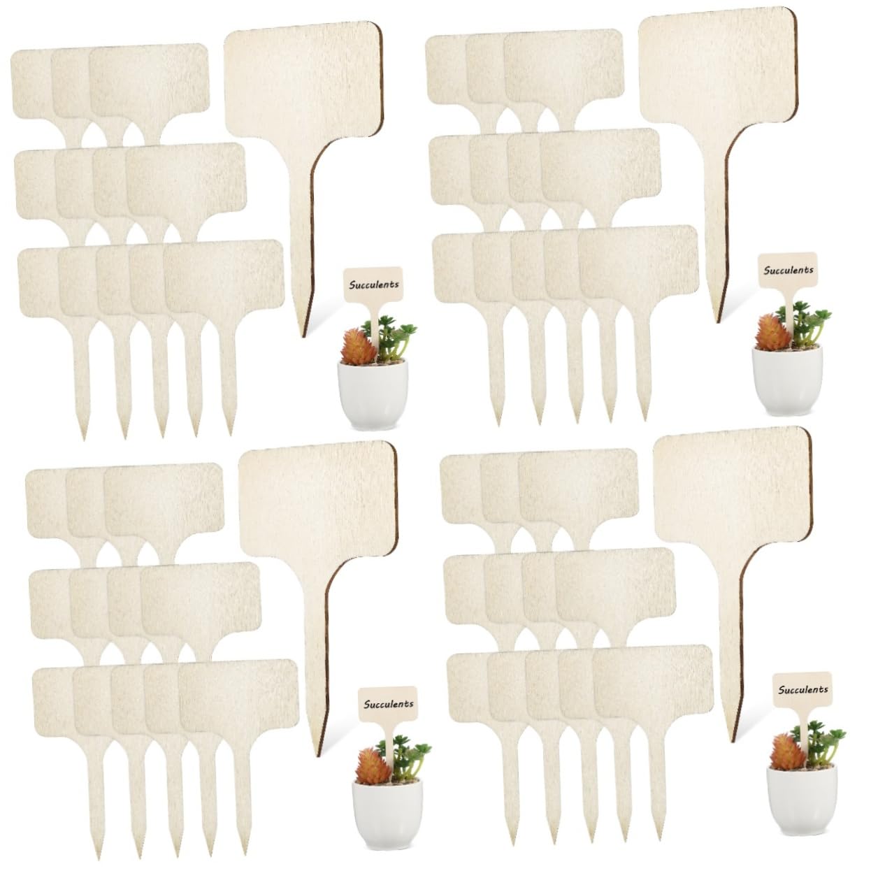 BESPORTBLE Lot De 4 Marqueurs De Plantes Pour Étiquettes De Nom De Plantes Insertion Facile Étiquettes De Plantes En Bois Signes 50 Pièces X 4