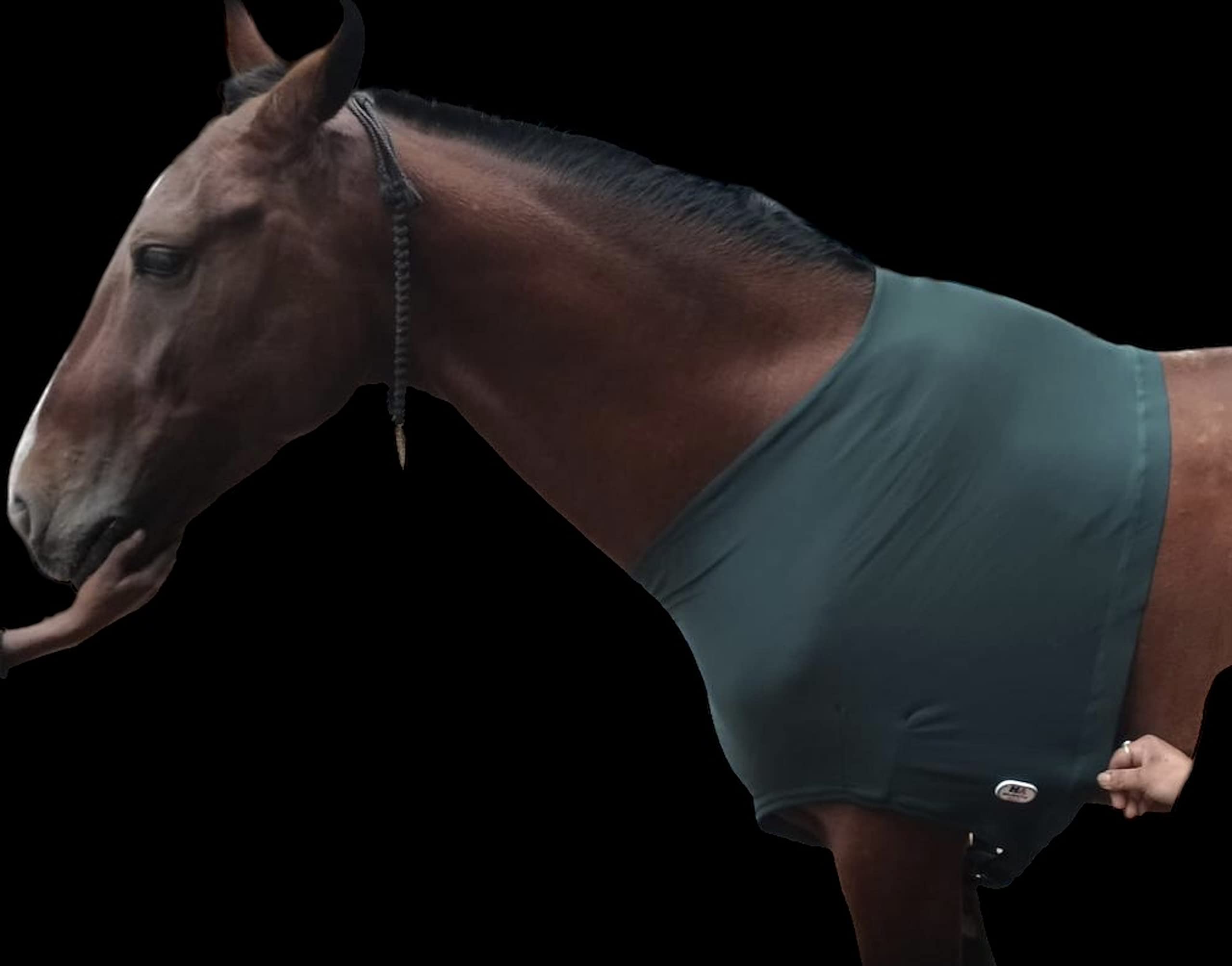 Protège-épaules Cheval Lycra Stretch Grand Vert Chasseur Majestic Ally