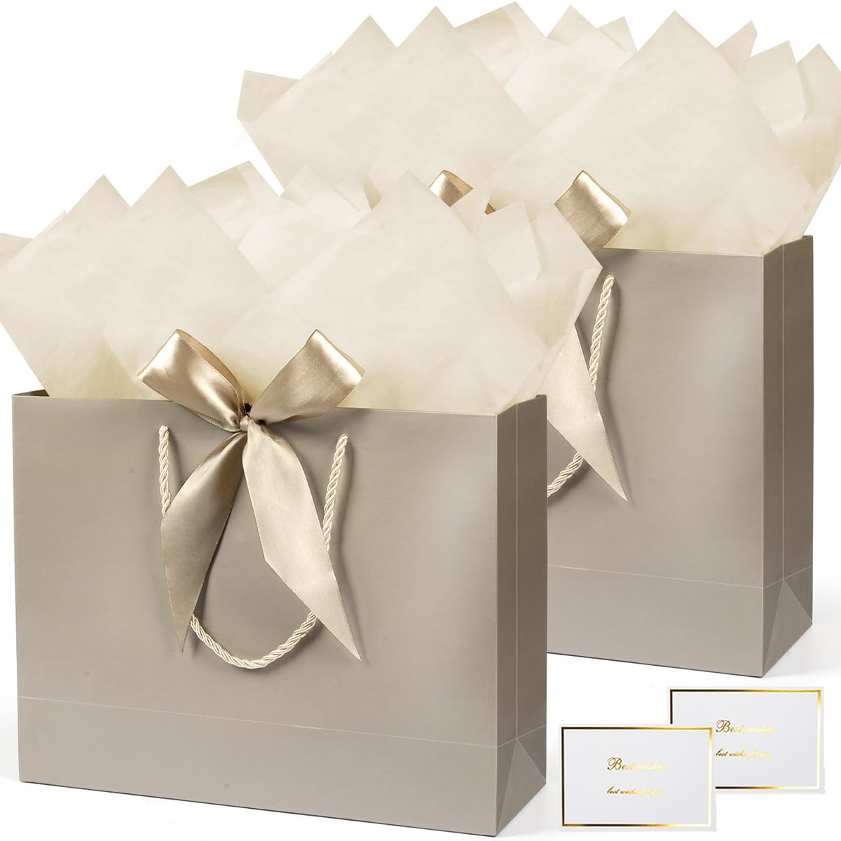 Medium Gift Bags for Men Women - 2Pcs Champagne Gift Bags with Tissue Paper Handles Ribbons and Card for Presents, Paper Gift Bag for Birthday Wedding Baby Shower Christmas, 25x20x12cm