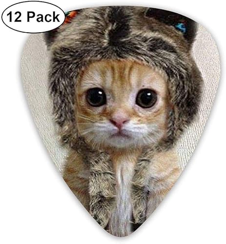 SA AYe Tier kleine graue Katze Hut Guitar Pick12 StA ck FA r E-Gitarre  Akustikgitarre  Mandoline und Bass