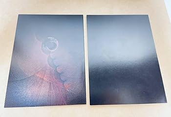 DIRENGREY THE INSULATED WORLD限定盤Blu-ray Amazon.co.jp: The Insulated World(完全生産限定盤)(Blu-ray