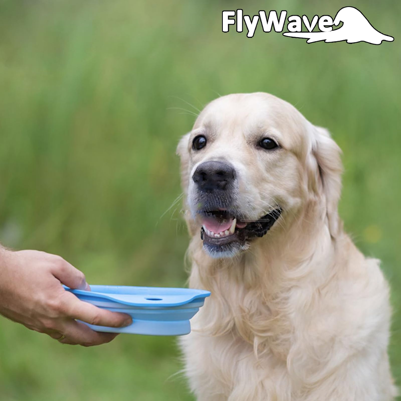 FlyWave Składana miska dla psa w podróży, miska podróżna dla psa, zabezpieczona przed wyciekiem, miska do picia dla psa na podróż, składana, 350 ml, niebieska