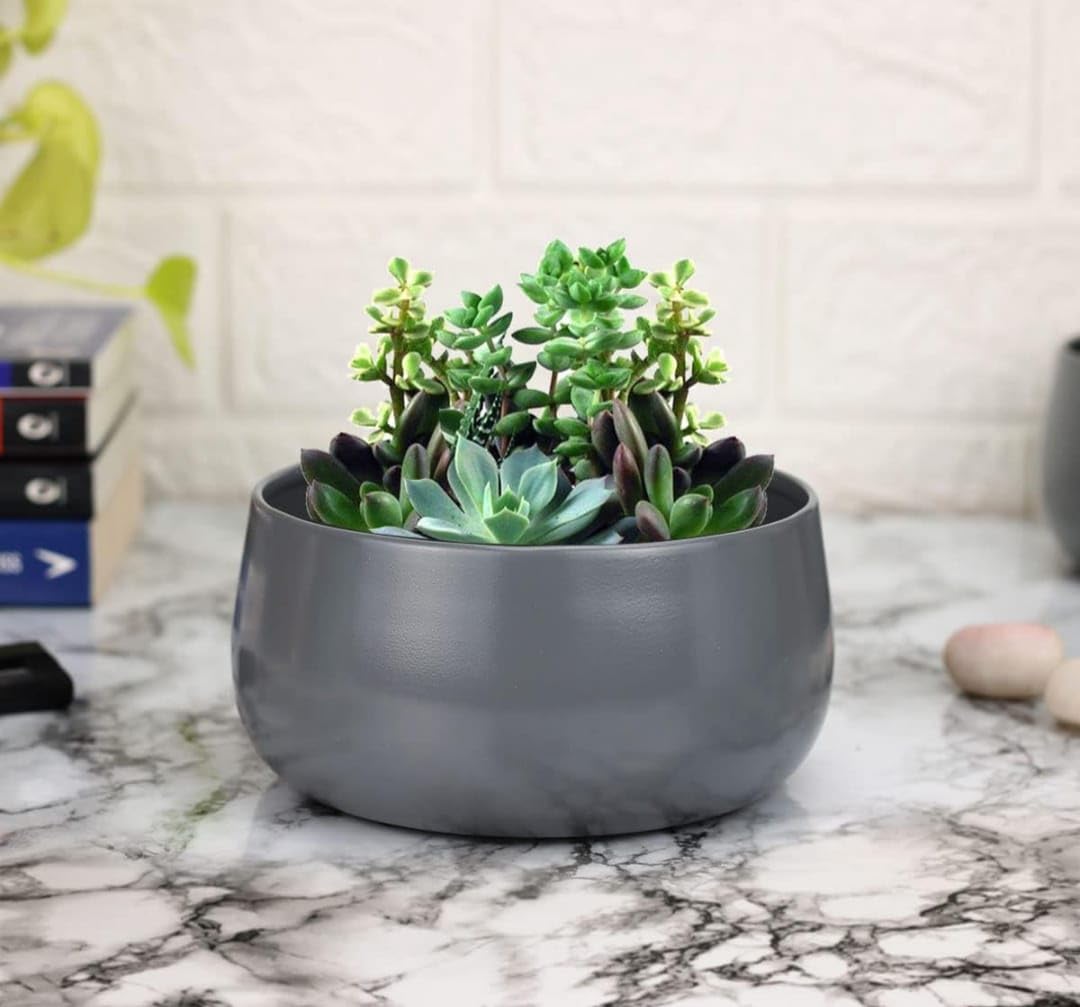 ATULYAART Handi Metal Pots for Indoor Plants with Drainage Hole (Best Flower Pots & Planters for Home Decor, Living Room, Kitchen, Bedroom, Table Top, Office, Gifting, Grey) (B0CZ6JR2VS) Amazon Price History, Amazon Price Tracker