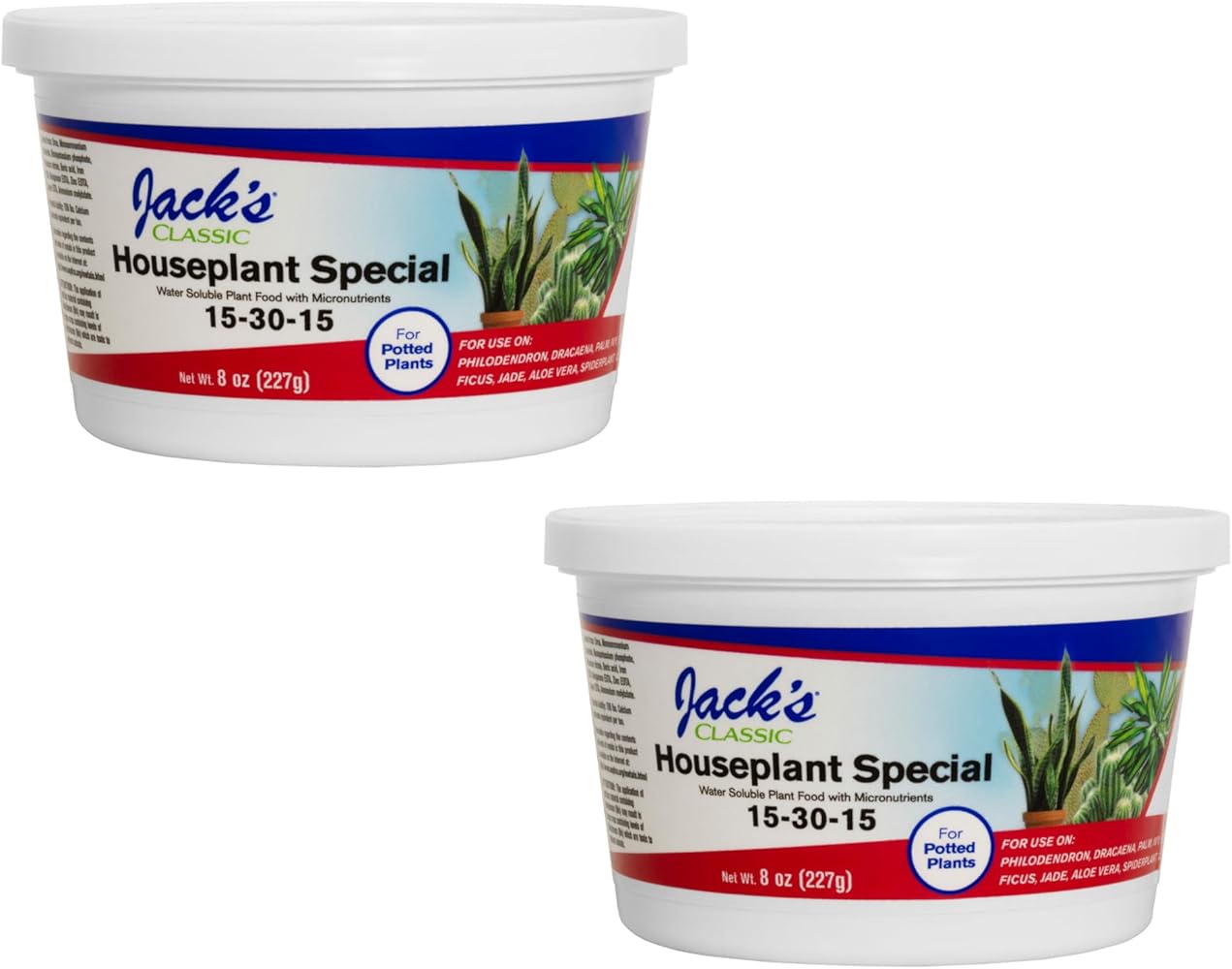 【OK plant】 sku6760257.jpg