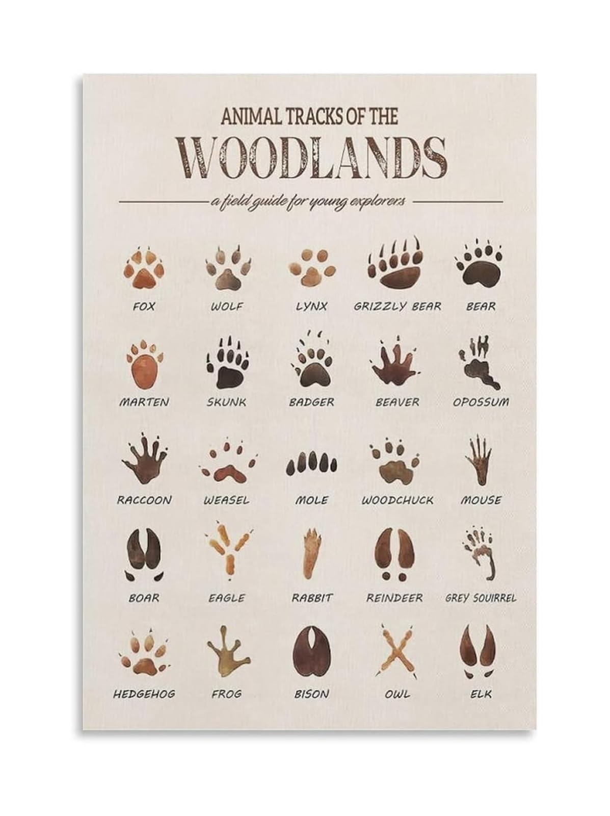MDBJTCYZN Room Wall-Art Woodland Animal Tracks Educational Poster Forest Field Guide Rustic Nature Nursery Decor(Unframed,08X12inch(20X30cm))