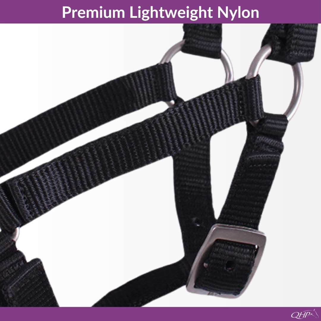 QHP Foal Halter | Adjustable Horse Halter for Foals & Weanlings | Nylon | 3-Way Adjustable at Chin, Throat & Crown, Nylon, Sturdy Lead Rope Ring, Satin-Finish Hardware