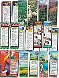 Assorted Pack of 100 Bible Cards - Complete Set in Three Sizes