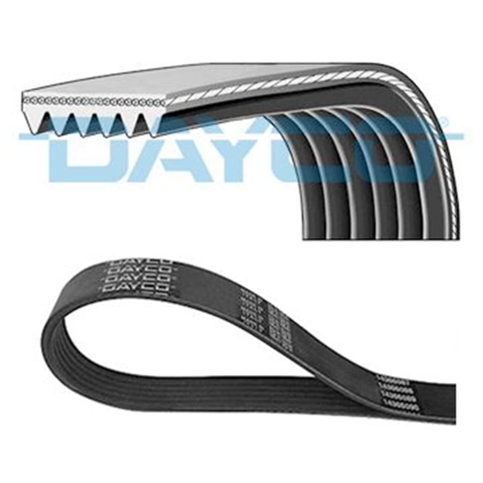 CONTITECH - Cinghia Poly 7pk1145