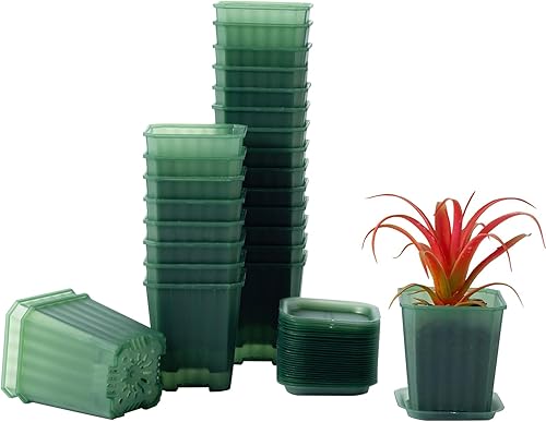 foxany Macetas verdes transparentes de 3 pulgadas, 30 macetas de plástico grueso, macetas cuadradas para plantar flores, paquete variado, macetas de