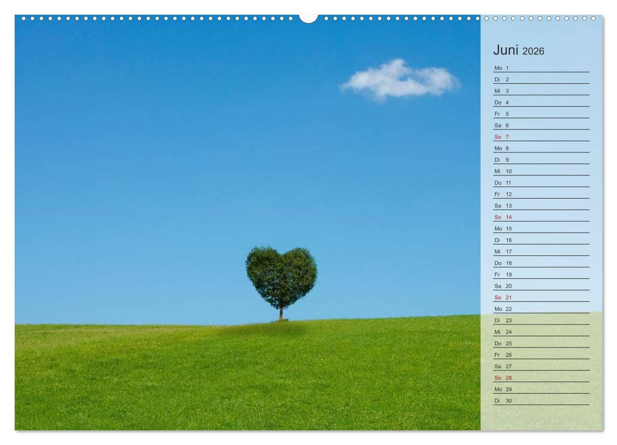 Tage von Herzen (hochwertiger Premium Wandkalender 2026 DIN A2 quer), Kunstdruck in Hochglanz: Geburtstagskalender mit Platz für Notizen (CALVENDO Lifestyle)