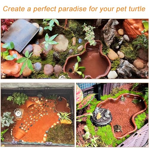 3PCS Tortoise Food Dish with Ramp Leaf Tortoise Food Water Bowls Reptile Food Water Bowls Amphibians Habitat Accessories for Horned Frogs Lizards Fit for Bath - Thumbnail 5