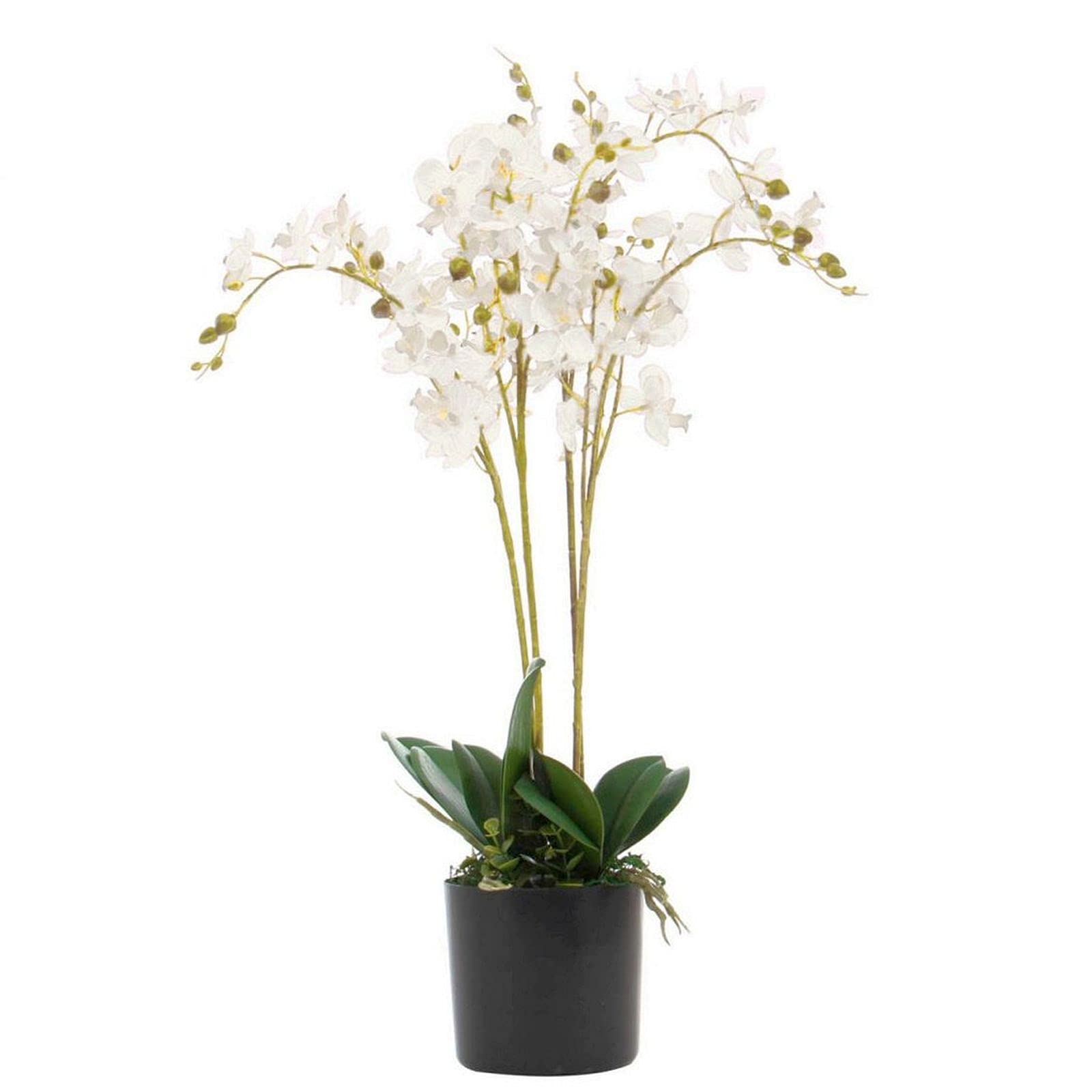 Leaf Design UK Realistic Artificial Orchid Flower Display in Pot,60cm