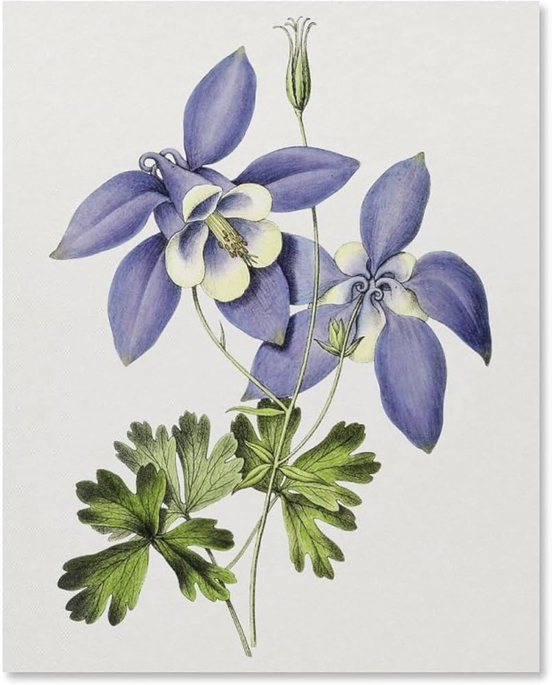 絵画 。壁掛け絵☆【きれいな女性ときれいな緑の植物】 絵画 。壁掛け絵☆【きれいな女性ときれいな緑の植物】