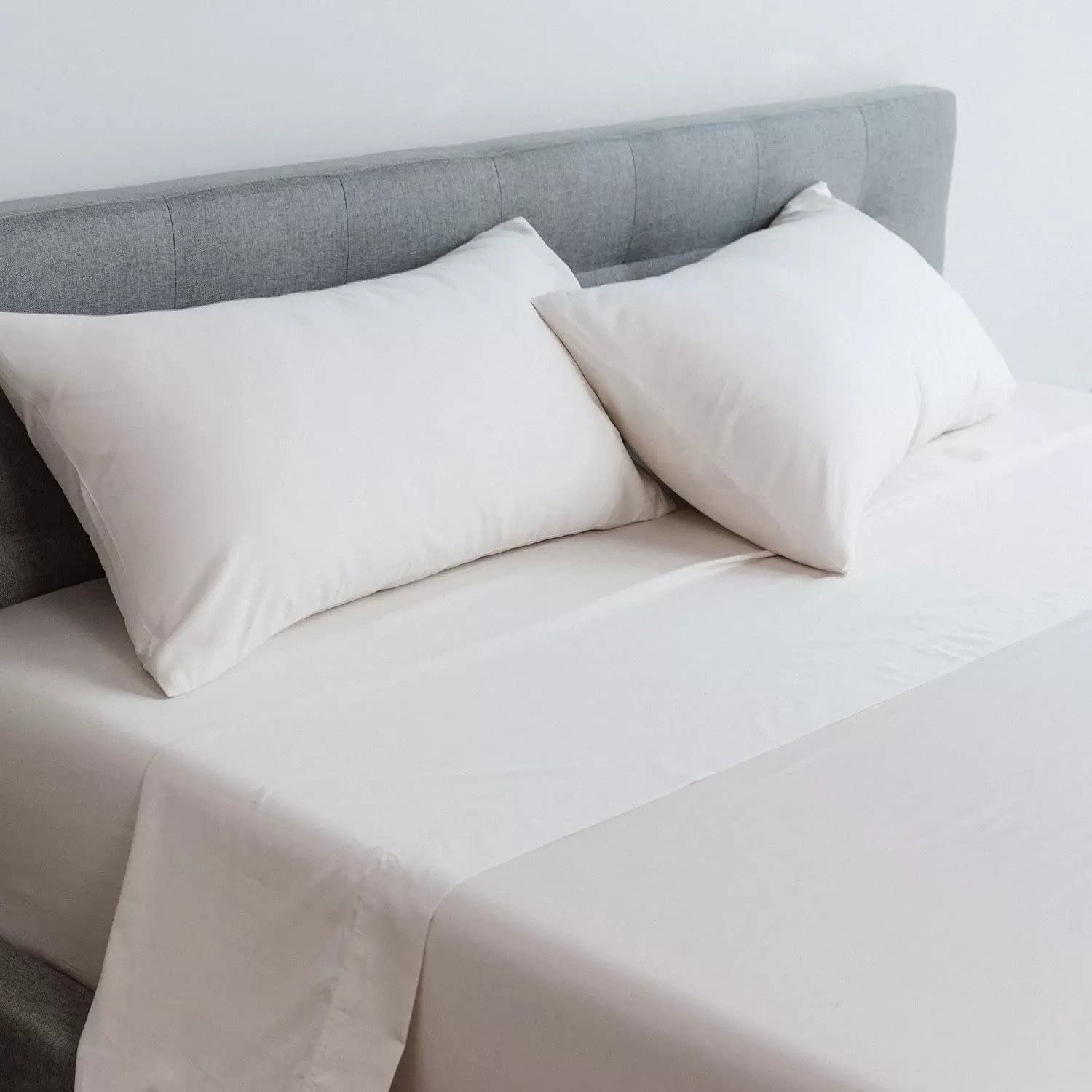 rufus and coco flea flee