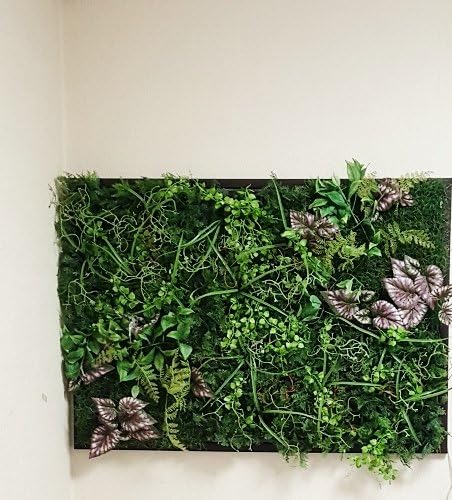 Amazon グリーンパネル 壁面緑化 グリーンマット 人工観葉植物 人工観葉植物 オンライン通販 Amazon グリーンパネル 壁面緑化 グリーンマット 人工観葉植物 人工観葉植物 オンライン通販