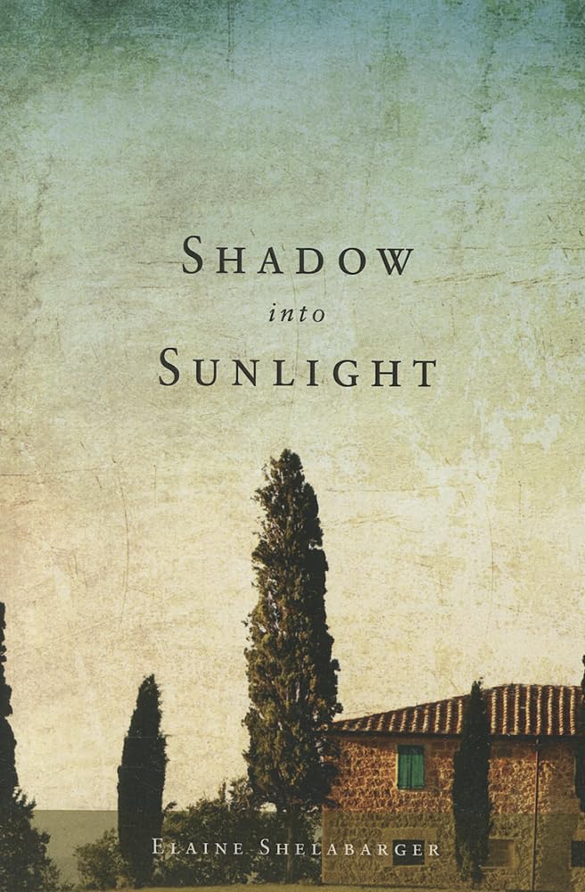 Shadow into Sunlight