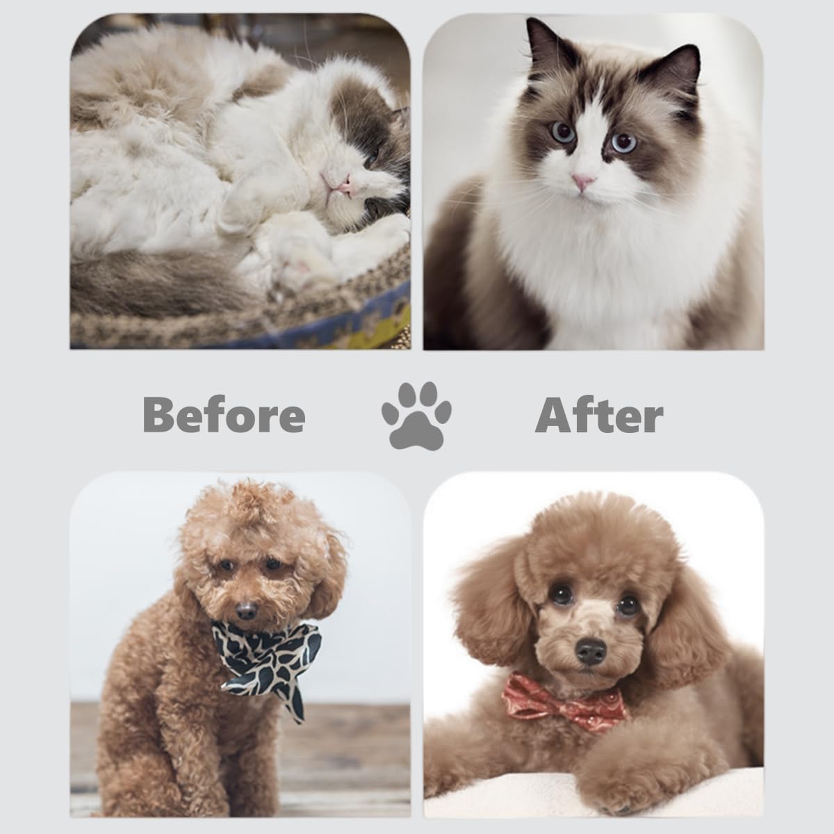 611LUuXhHDL. AC SL1200