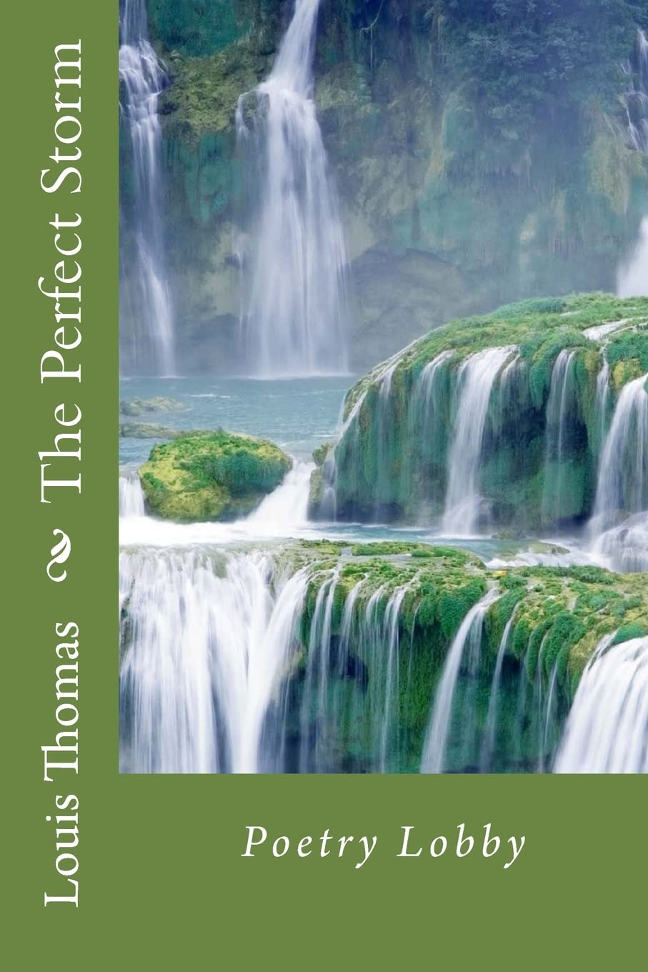 Book review of The Perfect Storm - Readers' Favorite: Book Reviews and ...