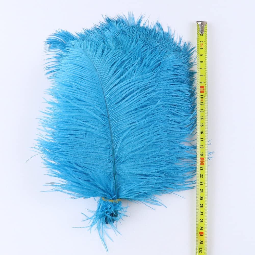Lot De 10 Plumes D'Autruche Naturelles Blanches - Plumes Décoratives 15-50cm Pour Mariage, Bricolage, Noël
