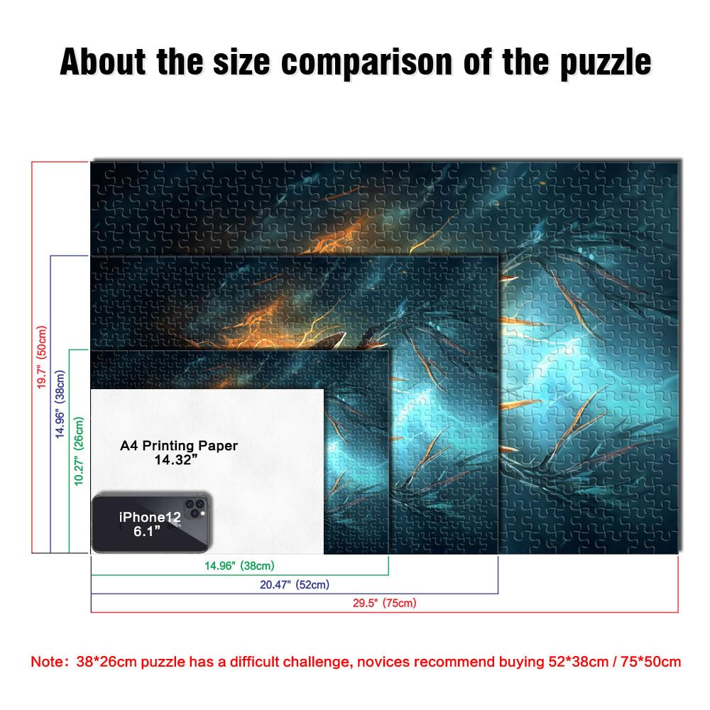 View 5