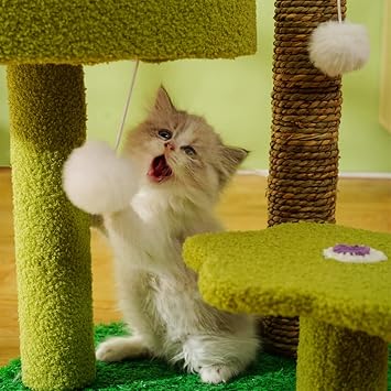 Cat Condo Multifunction Cat Tree Four Seasons Universal, Interesting Cat Furniture Strong and Durable for Indoor Cats Kittens Gifts