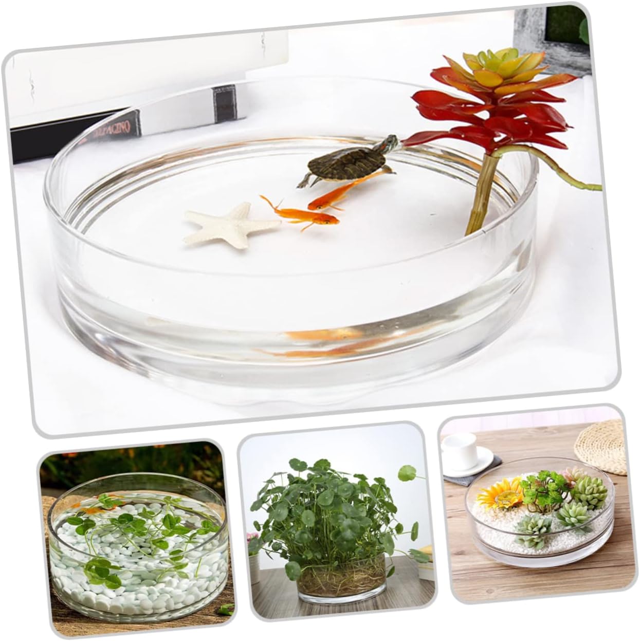 GALPADA Glass Vase Round Flower Vase Glass Hydroponic Pot for Terrarium Decor Plant Pot for Home