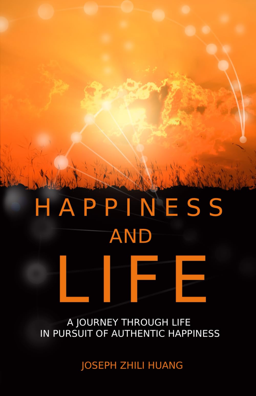 Happiness and Life: A Journey Through Life in Pursuit of Authentic Happiness