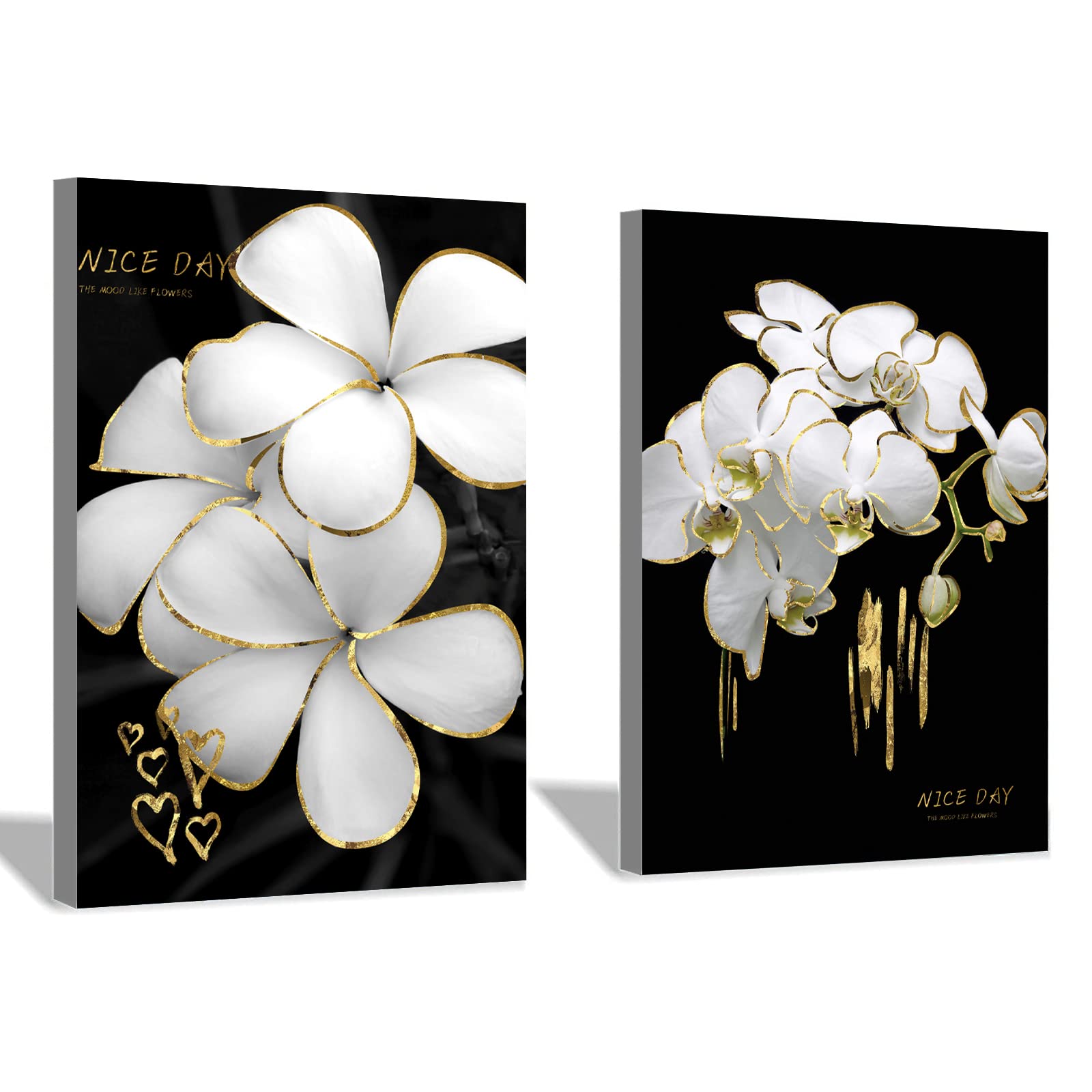 Bfgsrtcbox Black White Flowers Painting Wall Art Canvas Print Elegant Modern Picture Nordic Poster Living Room Decor 20x28inchx2pcs No Frame