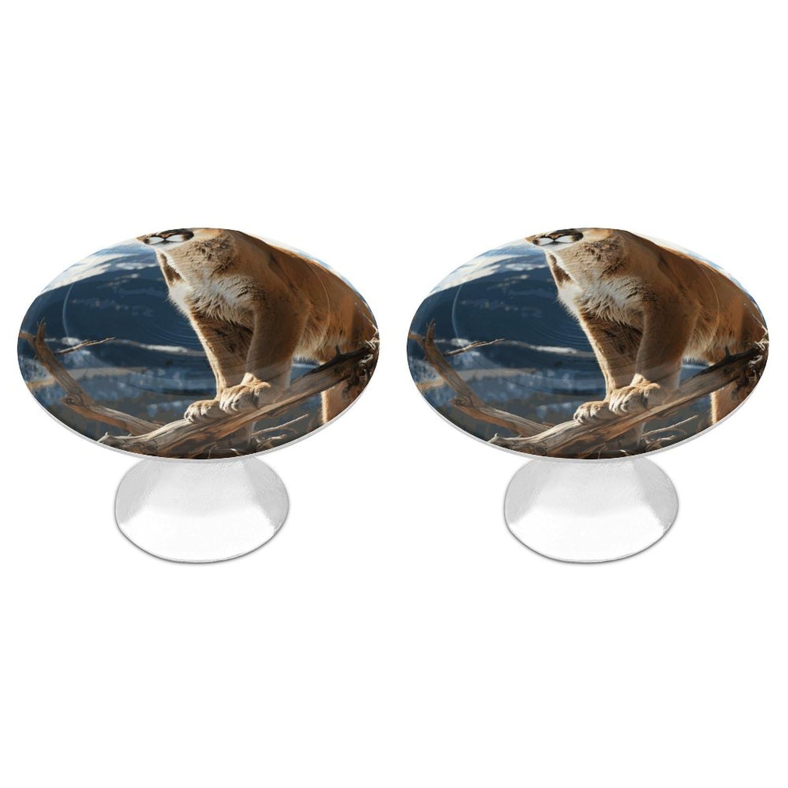 FekiLoot Panther Mountain Lion Cabinet Knobs 2 Pack Stainless Steel Round Dresser Drawer Knobs Kitchen Drawer Hardware Dresser Knob Closet Door Pulls Cabinet Handles for Cupboard Drawer Pulls