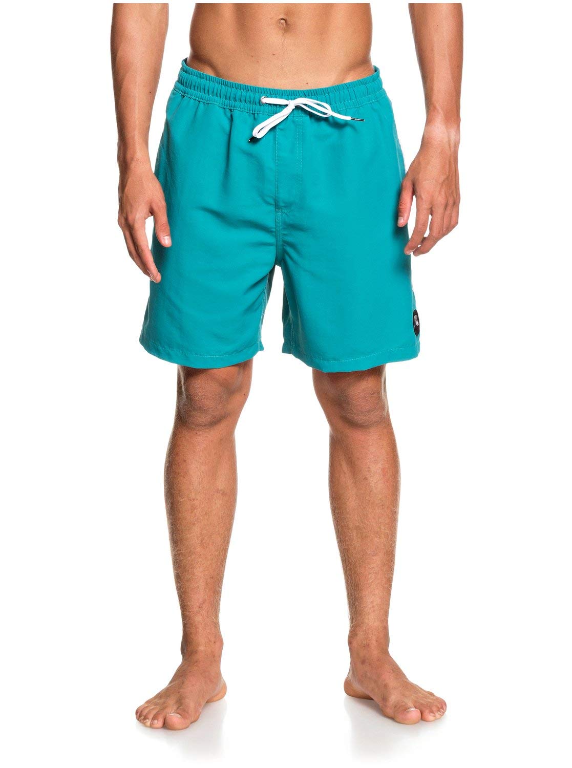 Quiksilver mens BEACH PLEASE VOLLEY 17NB BOARDSHORT SWIM TRUNK Board Shorts