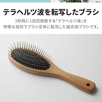 TERA BRUSH 光線ブラシ 新商品 公式>TERA BRUSH 育成光線テラヘルツ波を転写した魔法のブラシ