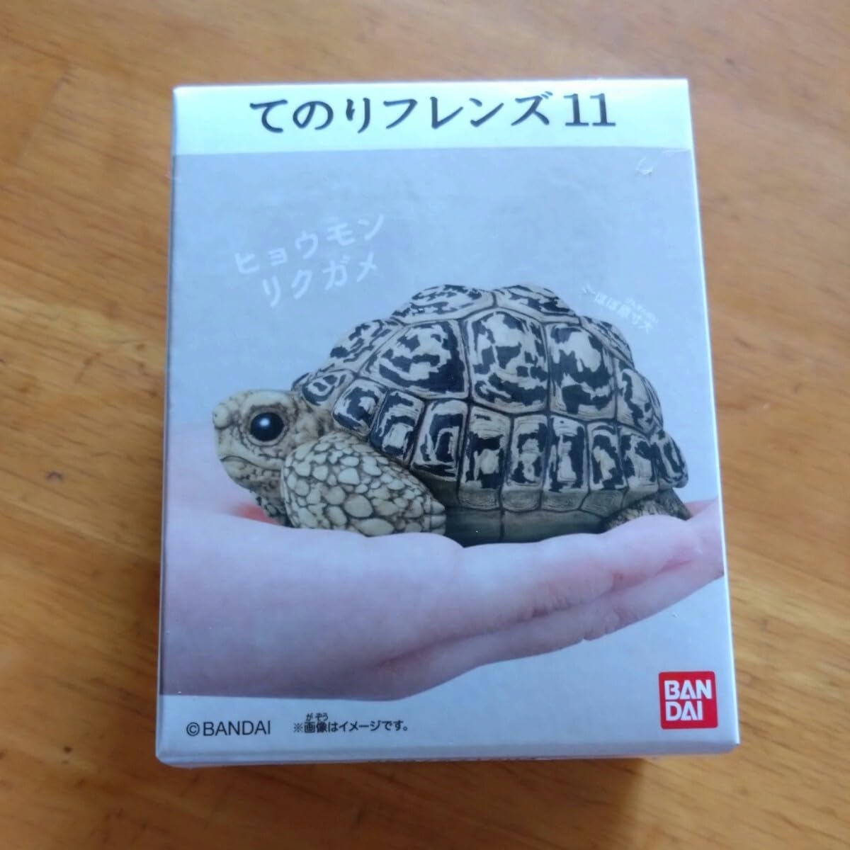 Amazon.co.jp: てのりフレンズ11 ヒョウモンリクガメ フィギュア