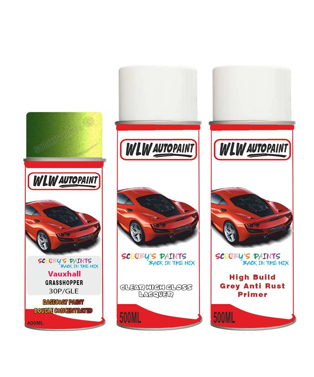 SCOOBYS PAINTS BACK IN THE MIX Aerosol Spray Paint For Vauxhall Corsa Grasshopper 2010-2017 Primer Undercoat With Lacquer