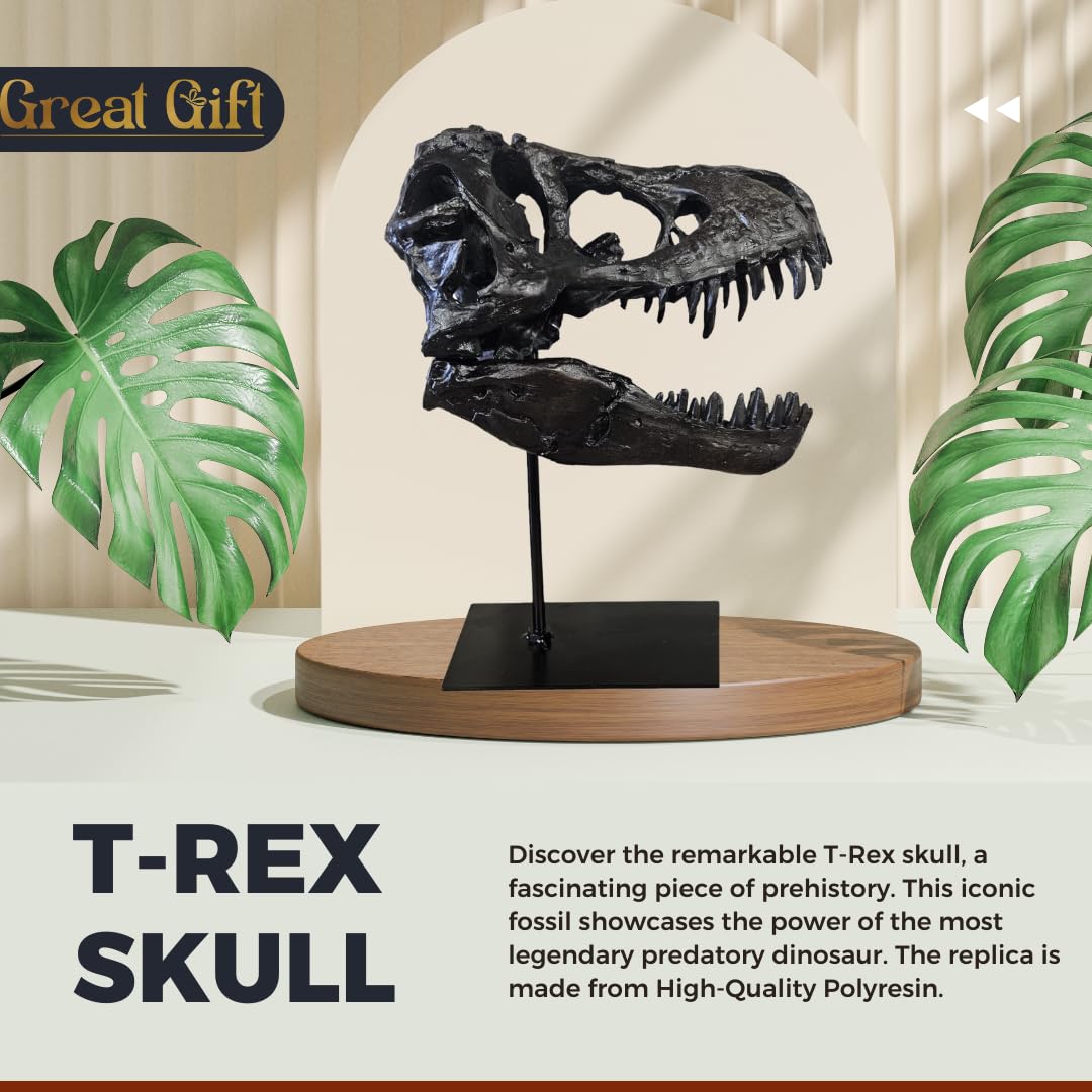 T-Rex Cráneo XXL sobre soporte de metal - Réplica - Tyrannosaurus Rex - Dinosaurio - Fósil - Decoración de lujo - 30x25 cm