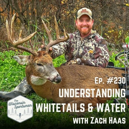 Understanding Whitetails & Water