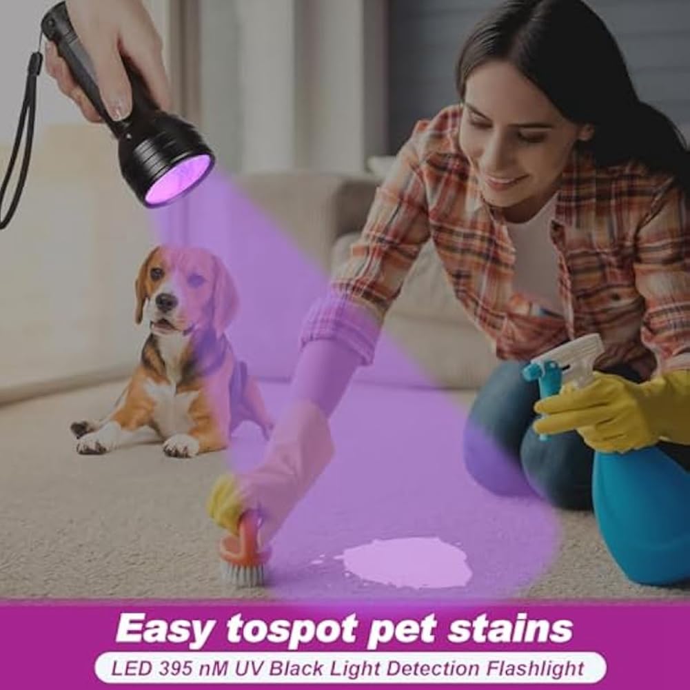 Kit d'équipement de chasse pour chat avec radio, 4 balles et lampe de poche, jouet interactif lumineux pour la maison et l'extérieur