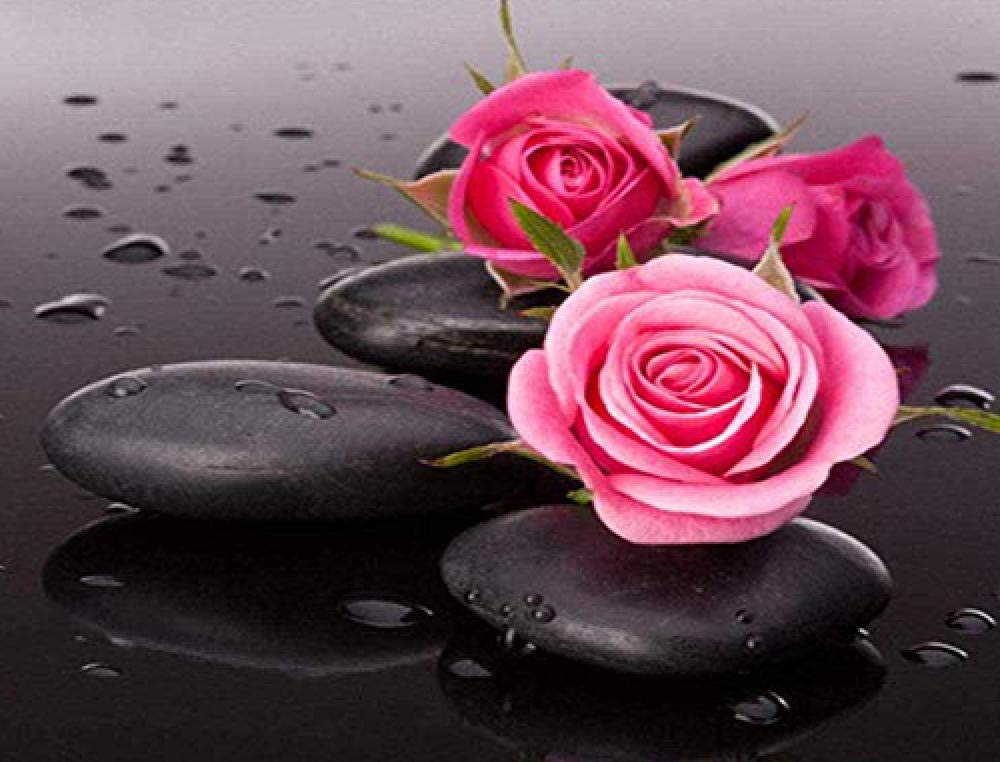 Stamped Cross Stitch Kit with Fabric DIY Embroidery Kits for Beginners Children & Adults with 11CT Printed Pattern Plant Flower 40 * 50cm