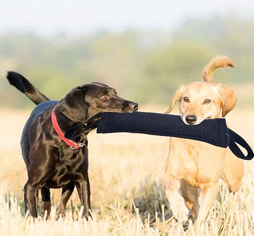 Miniatura 8 de Clysoru Dog Tug Toy Dog, paquete doble de almohada resistente para mordedura de yute, duradera, equipo de entrenamiento, juguete interactivo para