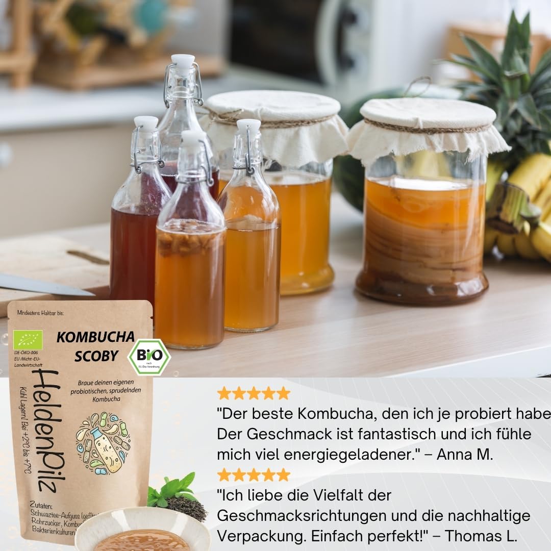 HeldenPilz Kombucha - Scoby vital y potente con líquido de raíz | Para 6 l de kombucha | Garantía de éxito, 100% natural, duradero